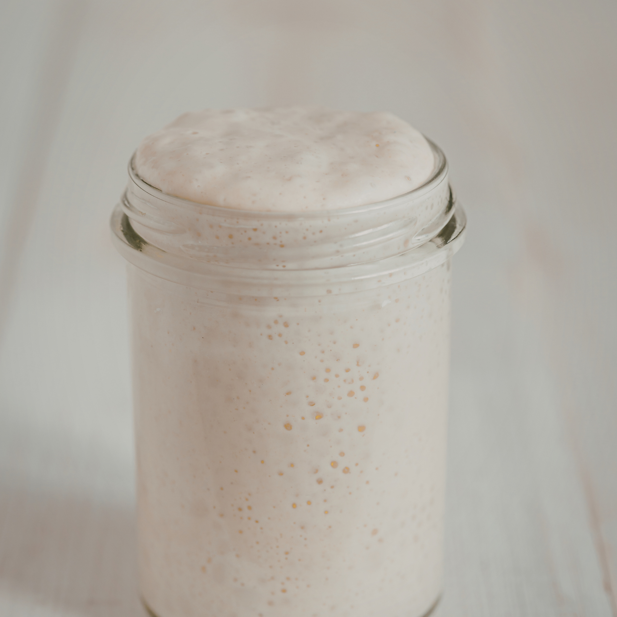 Fermentation culture with bubbles rising in a mason jar